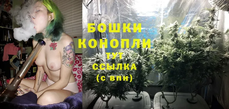 купить закладку  кракен зеркало  Шишки марихуана THC 21%  Владивосток 